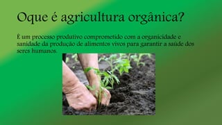 Oque é agricultura orgânica?
É um processo produtivo comprometido com a organicidade e
sanidade da produção de alimentos vivos para garantir a saúde dos
seres humanos.
 