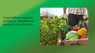A agricultura orgânica
prioriza a variedade na
produção de alimentos.
 