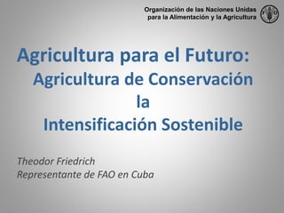 Agricultura para el Futuro:
Agricultura de Conservación
la
Intensificación Sostenible
Theodor Friedrich
Representante de FAO en Cuba
Organización de las Naciones Unidas
para la Alimentación y la Agricultura
 
