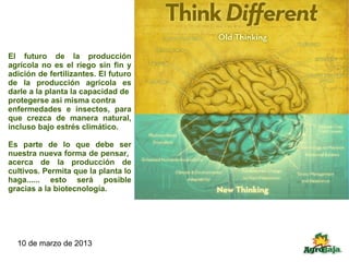 El futuro de la producción
agrícola no es el riego sin fin y
adición de fertilizantes. El futuro
de la producción agrícola es
darle a la planta la capacidad de
protegerse asi misma contra
enfermedades e insectos, para
que crezca de manera natural,
incluso bajo estrés climático.

Es parte de lo que debe ser
nuestra nueva forma de pensar,
acerca de la producción de
cultivos. Permita que la planta lo
haga...... esto será posible
gracias a la biotecnología.




  10 de marzo de 2013
 