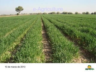 e-Agriculture




10 de marzo de 2013
 