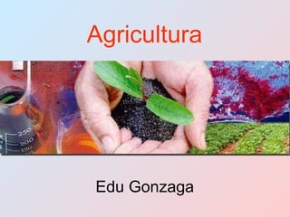 Agricultura Edu Gonzaga 