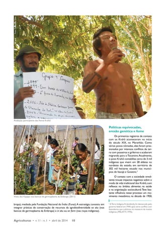 Foto: Terezinha Dias 
Avaliação participativa das Feiras Krahô 
Foto: Terezinha Dias 
brapa), mediada pela Fundação Nacional do Índio (Funai). A estratégia consistiu em 
integrar práticas de conservação de recursos da agrobiodiversidade ex situ (nos 
bancos de germoplasma da Embrapa) e in situ ou on farm (nas roças indígenas). 
Agriculturas • v. 11 - n. 1 • abril de 2014 10 
Políticas equivocadas, 
erosão genética e fome 
Os primeiros registros de contato 
com os Krahô aconteceram no início 
do século XIX, no Maranhão. Como 
vários povos nômades, eles foram pres-sionados 
por intensos conflitos de ter-ra 
com posseiros e grileiros e acabaram 
migrando para o Tocantins. Atualmente, 
o povo Krahô contabiliza cerca de 3 mil 
indígenas que vivem em 28 aldeias no 
nordeste do estado, em território de 
302 mil hectares situado nos municí-pios 
de Itacajá e Goiatins.2 
O contato com a sociedade envol-vente 
trouxe impactos negativos sobre o 
modo de vida tradicional dos Krahô, com 
reflexos no âmbito alimentar, na saúde 
e na organização sociocultural. Teve bas-tante 
influência nesse processo um mo-vimento 
messiânico, na década de 1950, 
2 A Terra Indígena Kraholândia foi demarcada pelo 
governo federal em 1944, após sério conflito com 
fazendeiros que culminou no massacre de muitos 
indígenas (MELATTI, 1976). 
Visita dos Kayapo nos bancos de germoplasma da Embrapa (2011) 
 