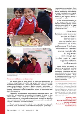 Arranjos para a difusão e o uso das sementes 
Toda semente obtida no banco para fins de produção é devolvida como um 
mecanismo de capitalização comunitária, na proporção de 2x1. Já o mecanismo de 
repasse em cadeia é a base para a disseminação de materiais, buscando a equidade 
entre as partes. A ideia por trás desses arranjos é promover a redistribuição e a 
manutenção das variedades e gerar produtos para a venda, cujo retorno irá formar 
um fundo que viabilizará a aquisição de inúmeros insumos ou produtos por parte 
das famílias agricultoras. 
À medida que as capacidades de melhoramento da diversidade local dos cam-poneses 
têm se fortalecido, as comunidades têm conseguido fortalecer os laços 
entre as famílias. E é essa conexão que tem favorecido a circulação e o compar-tilhamento 
de materiais e conhecimentos. As mulheres, em particular, ganharam 
maior reconhecimento dentro de suas comunidades por sua notória capacidade de 
conservar e melhorar as variedades e sementes. 
Vínculos entre os consumidores urbanos e suas organizações com grupos de 
agricultores foram estabelecidos, buscando fortalecer a proposta agroecológica e 
Agriculturas • v. 11 - n. 1 • abril de 2014 18 
o acesso a alimentos saudáveis. Como 
resultado, o processo tornou possível 
reverter tendências de perda de biodi-versidade 
e, principalmente, recuperar 
a identidade camponesa, restabelecer o 
orgulho por seus saberes e retomar o 
interesse pela inovação. 
A título de conclusão, podemos di-zer 
que qualquer ação voltada a for-talecer 
os sistemas agrícolas andinos 
deverá ter como ponto de partida as 
experiências, escolhas e prioridades 
das populações rurais. 
É também 
fundamental fomentar 
a capacidade das 
comunidades 
para manejar suas 
sementes de forma 
autônoma a fim de dar 
respostas aos desafios 
para a manutenção 
da segurança 
alimentar, o que 
implica novos arranjos 
organizacionais e 
institucionais. 
Nesse sentido, percebemos na 
experiência apresentada os benefícios 
de parcerias estabelecidas entre as 
organizações camponesas, as organi-zações 
de desenvolvimento rural, os 
governos locais, os institutos e as uni-versidades 
buscando formas mais efi-cazes 
de estabelecer vínculos com o 
trabalho comunitário. 
1 Os autores agradecem a valiosa contri-buição 
das lideranças das organizações 
camponesas, que manifestaram sua paixão 
e seu compromisso com um futuro mais 
promissor. Agradecemos também o apoio 
da Fundação McKnight, da Embaixada Ho-landesa, 
da Fundação Tidlund, da Fundação 
Swift e da FAO, que tornou possível a rea-lização 
desta experiência. 
Ross Mary Borja, 
Pedro J. Oyarzún, 
Sonia. M. Zambrano, Francisco 
Lema e EfarínPallo 
Fundação EkoRural - Quito, Equador 
rborja@ekorural.org 
Mesmo sob difíceis condições, as famílias defendem suas próprias sementes 
Dar visibilidade ao valor das sementes locais é condição para a defesa da 
autonomia camponesa 
 