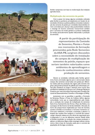 Agriculturas • v. 11 - n. 1 • abril de 2014 22 
familiar camponesa com base na revalorização das tradições 
agrícolas locais. 
Multiplicação das sementes da paixão 
Com o passar do tempo, algumas variedades cultivadas 
pelas famílias se perderam, principalmente em função de ad-versidades 
climáticas e políticas públicas orientadas à substitui-ção 
das sementes da paixão por variedades desenvolvidas em 
meio controlado para alcançar altas produtividades mediante 
o emprego de insumos comerciais. Concorreram também 
para o processo de erosão genética as práticas inadequadas 
de manejo, particularmente aquelas relacionadas à produção 
de sementes. 
A partir da participação de 
representantes da Comissão 
de Sementes, Plantas e Frutas 
nos momentos de formação 
promovidos pela Rede Sementes 
da ASA-PB, surgiram discussões 
sobre a necessidade de instalação 
de campos de multiplicação de 
sementes da paixão, espaços que 
seriam também valorizados como 
ambientes de aprendizagem e 
troca de conhecimentos sobre 
produção de sementes. 
Dentre as variedades cultivadas pelas famílias agricul-toras, 
foram priorizadas algumas para a estruturação desses 
campos. São sementes conservadas com paixão por diferen-tes 
razões: pela boa produção das vagens, pelo tamanho dos 
grãos, pela grande produção de palhada para alimentação ani-mal, 
pela resistência às pragas e doenças, entre outras. Essa 
atividade foi viabilizada em parceria com a Embrapa Tabuleiros 
Costeiros por meio de projeto financiado pelo Conselho Na-cional 
de Desenvolvimento Científico e Tecnológico (CNPq). 
Juntamente com os guardiões e guardiãs, a Comissão 
de Sementes, Plantas e Frutas do Coletivo definiu algumas 
comunidades rurais que se responsabilizariam pela instala-ção 
e condução dos campos de multiplicação de sementes: 
Santa Cruz, Cachoeirinha dos Torres e Poço das Pedras, nos 
municípios de São Vicente do Seridó, Soledade e São João do 
Cariri. Os campos foram implantados por meio de mutirões, 
quando as famílias se articulavam e marcavam momentos co-muns 
para realizarem a marcação, a escavação, o plantio e a 
limpeza dos roçados. Para assegurar o controle dos i­nsetos- 
-praga e doenças, realizou-se uma oficina de capacitação para 
a preparação e o uso de defensivos naturais. Desde então, 
as famílias envolvidas na condução dos campos produzem e 
aplicam os defensivos. Alguns deles empregam plantas nativas, 
como o feito à base de maniçoba usado para o controle das 
populações de formigas cortadeiras. 
Campo de multiplicação de feijão figo, comunidade Cachoeirinha dos 
Torres, Soledade (PB) 
Colheita do campo de multiplicação do milho adelaide e feijão cara 
larga, comunidade Poço das Pedras, São João do Cariri (PB) 
Comissão Sementes, Plantas e Frutas do Coletivo 
 