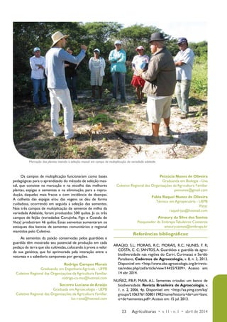 Marcação das plantas visando à seleção massal em campo de multiplicação de variedade adelaide 
23 Agriculturas • v. 11 - n. 1 • abril de 2014 
Os campos de multiplicação funcionaram como bases 
pedagógicas para o aprendizado do método de seleção mas-sal, 
que consiste na marcação e na escolha das melhores 
plantas, espigas e sementes e na eliminação, para a repro-dução, 
daquelas mais fracas e com incidência de doenças. 
A colheita das espigas e/ou das vagens se deu de forma 
cuidadosa, ocorrendo em seguida à seleção das sementes. 
Nos três campos de multiplicação de semente de milho da 
variedade Adelaide, foram produzidos 500 quilos. Já os três 
campos de feijão (variedades Corujinha, Figo e Costela de 
Vaca) produziram 46 quilos. Essas sementes aumentaram os 
estoques dos bancos de sementes comunitários e regional 
mantidos pelo Coletivo. 
As sementes da paixão conservadas pelos guardiões e 
guardiãs têm mostrado seu potencial de produção em cada 
pedaço de terra que são cultivadas, colocando à prova o valor 
de sua genética, que foi aprimorada pela interação entre a 
natureza e a sabedoria camponesa por gerações. 
Rodrigo Campos Morais 
Graduando em Engenharia Agrícola - UFPB 
Coletivo Regional das Organizações da Agricultura Familiar 
rodrigo-ca-mo@hotmail.com 
Socorro Luciana de Araújo 
Graduada em Agroecologia - UEPB 
Coletivo Regional das Organizações da Agricultura Familiar 
luc-i-ana@hotmail.com 
Petrúcia Nunes de Oliveira 
Graduanda em Biologia - Uva 
Coletivo Regional das Organizações da Agricultura Familiar 
petnunes@gmail.com 
Fábia Raquel Nunes de Oliveira 
Técnico em Agropecuária - UEPB 
Patac 
raquel-jua@hotmail.com 
Amaury da Silva dos Santos 
Pesquisador da Embrapa Tabuleiros Costeiros 
amaury.santos@embrapa.br 
Referências bibliográficas: 
ARAÚJO, S.L; MORAIS, R.C; MORAIS, R.C; NUNES, F. R; 
COSTA, C. C; SANTOS, A. Guardiões e guardiãs da agro-biodiversidade 
nas regiões do Cariri, Curimataú e Seridó 
Paraibano, Cadernos de Agroecologia, v. 8, n. 2, 2013. 
Disponível em: <http://www.aba-agroecologia.org.br/revis-tas/ 
index.php/cad/article/view/14455/9309>. Acesso em: 
14 abr. 2014. 
NUÑEZ, P.B.P.; MAIA. A.L. Sementes crioulas: um banco de 
biodiversidade. Revista Brasileira de Agroecologia, v. 
1, n. 2, 2006. 4p. Disponível em: <http://xa.yimg.com/kq/ 
groups/2106376/1508011982/name/historia+de+um+banc 
o+de+sementes.pdf>. Acesso em: 15 jul. 2013. 
 