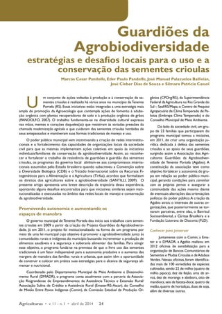Guardiões da 
Agrobiodiversidade 
estratégias e desafios locais para o uso e a 
conservação das sementes crioulas 
Marcos Cesar Pandolfo, Eder Paulo Pandolfo, José Manuel Palazuelos Ballivián, 
José Cleber Dias de Souza e Silmara Patrícia Cassol 
U m conjunto de ações voltadas à produção e à conservação de se-mentes 
crioulas é realizado há vários anos no município de Tenente 
Portela (RS). Essas iniciativas estão integradas a uma estratégia mais 
ampla de promoção da Agroecologia que contempla ações de fomento à aduba-ção 
orgânica com plantas recuperadoras de solo e à produção orgânica de grãos 
(PANDOLFO, 2007). O trabalho fundamenta-se na diversidade cultural expressa 
nas mãos, mentes e corações daqueles(as) que resistiram às variadas pressões da 
chamada modernização agrícola e que cuidaram das sementes crioulas herdadas de 
seus antepassados e mantiveram suas formas tradicionais de manejo e uso. 
O poder público municipal vem incentivando a criação de redes interinstitu-cionais 
e o fortalecimento das capacidades de organizações locais da sociedade 
civil para que as mesmas implementem ações coletivas em apoio às iniciativas 
individuais/familiares de conservação da agrobiodiversidade. Assim, ao reconhe-cer 
e fortalecer o trabalho de resistência de guardiões e guardiãs das sementes 
crioulas, os programas do governo local alinham-se aos compromissos interna-cionais 
assumidos pelo Estado brasileiro quando subscreveu a Convenção sobre 
a Diversidade Biológica (CDB) e o Tratado Internacional sobre os Recursos Fi-togenéticos 
para a Alimentação e a Agricultura (Tirfaa), acordos que formalizam 
os direitos dos agricultores sobre a agrobiodiversidade (SANTILLI, 2009). O 
presente artigo apresenta uma breve descrição da trajetória dessa experiência, 
apontando alguns desafios encontrados para que iniciativas similares sejam insti-tucionalizadas 
e executadas no âmbito das redes locais de manejo e conservação 
da agrobiodiversidade. 
Promovendo autonomia e aumentando os 
espaços de manobra 
O governo municipal de Tenente Portela deu início aos trabalhos com semen-tes 
crioulas em 2009 a partir da criação do Projeto Guardiões da Agrobiodiversi-dade. 
Já em 2011, o projeto foi institucionalizado na forma de um programa por 
meio de uma lei municipal cujo objetivo é promover a agrobiodiversidade junto às 
comunidades rurais e indígenas do município buscando incrementar a produção de 
alimentos saudáveis e a segurança e soberania alimentar das famílias. Para atingir 
esse objetivo, o programa funda-se na premissa de que o livre uso das sementes 
tradicionais é um fator indispensável para a autonomia produtiva e o aumento das 
margens de manobra das famílias rurais e urbanas, que assim têm a oportunidade 
de construir e colocar em prática suas estratégias para o alcance da segurança ali-mentar 
e nutricional. 
Coordenado pelo Departamento Municipal de Meio Ambiente e Desenvolvi-mento 
Rural (DMADR), o programa conta atualmente com a parceria da Associa-ção 
Riograndense de Empreendimentos de Assistência Técnica e Extensão Rural/ 
Associação Sulina de Crédito e Assistência Rural (Emater/RS-Ascar), do Conselho 
de Missão Entre Povos Indígenas (Comin), da Comissão Estadual de Produção Or-gânica 
Agriculturas • v. 11 - n. 1 • abril de 2014 24 
(CPOrg/RS), da Superintendência 
Federal da Agricultura no Rio Grande do 
Sul – Seaf/RS/Mapa, o Centro de Pesquisa 
Agropecuária de Clima Temperado de Pe-lotas 
(Embrapa Clima Temperado) e do 
Conselho Municipal de Meio Ambiente. 
Do lado da sociedade civil, um gru-po 
de 23 famílias que participavam do 
programa municipal tomou a iniciativa, 
em 2011, de criar uma organização ju-rídica 
dedicada à defesa das sementes 
crioulas e ao apoio de seus guardiões, 
surgindo assim a Associação dos Agri-cultores 
Guardiões da Agrobiodiver-sidade 
de Tenente Portela (Agabio). A 
constituição da associação teve como 
objetivo fortalecer a autonomia do gru-po 
em relação ao poder público muni-cipal, 
gerando condições para caminhar 
com as próprias pernas e assegurar a 
continuidade das ações mesmo diante 
de eventuais alterações das orientações 
políticas do poder público. A criação da 
Agabio atraiu o interesse de outras or-ganizações, 
que posteriormente se tor-naram 
parceiras, entre elas, o Banrisul 
Socioambiental, a Cáritas Brasileira e a 
Fundação Luterana de Diaconia (FLD). 
Conhecer para preservar 
Juntamente com o Comin, a Ema-ter 
e o DMADR, a Agabio realizou em 
2012 oficinas de sensibilização para a 
organização de Bancos Comunitários de 
Sementes e Mudas Crioulas e de Adubos 
Verdes. Nessas oficinas, foram identifica-das 
mais de 100 variedades de espécies 
cultivadas, sendo 22 de milho (quatro de 
milho pipoca), dez de feijão, uma de ar-roz, 
dez de moranga e abóbora, oito de 
mandioca, seis de batata-doce, quatro de 
melão, quatro de hortaliças, duas de soja, 
além de diversas outras. 
 