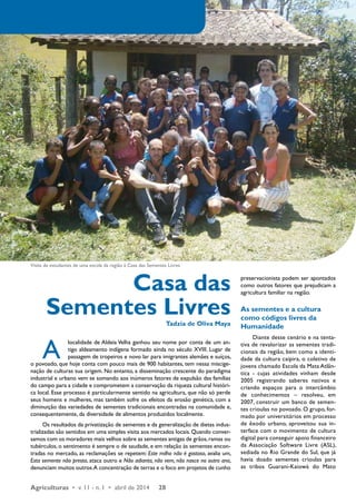 Visita de estudantes de uma escola da região à Casa das Sementes Livres 
A localidade de Aldeia Velha ganhou seu nome por conta de um an-tigo 
aldeamento indígena formado ainda no século XVIII. Lugar de 
passagem de tropeiros e novo lar para imigrantes alemães e suíços, 
o povoado, que hoje conta com pouco mais de 900 habitantes, tem nessa miscige-nação 
de culturas sua origem. No entanto, a disseminação crescente do paradigma 
industrial e urbano vem se somando aos inúmeros fatores de expulsão das famílias 
do campo para a cidade e comprometem a conservação da riqueza cultural históri-ca 
local. Esse processo é particularmente sentido na agricultura, que não só perde 
seus homens e mulheres, mas também sofre os efeitos da erosão genética, com a 
diminuição das variedades de sementes tradicionais encontradas na comunidade e, 
consequentemente, da diversidade de alimentos produzidos localmente. 
Os resultados da privatização de sementes e da generalização de dietas indus-trializadas 
são sentidos em uma simples visita aos mercados locais. Quando conver-samos 
com os moradores mais velhos sobre as sementes antigas de grãos, ramas ou 
tubérculos, o sentimento é sempre o de saudade, e em relação às sementes encon-tradas 
no mercado, as reclamações se repetem: Este milho não é gostoso, avalia um, 
Esta semente não presta, ataca outro e Não adianta, não vem, não nasce no outro ano, 
denunciam muitos outros. A concentração de terras e o foco em projetos de cunho 
Agriculturas • v. 11 - n. 1 • abril de 2014 28 
preservacionista podem ser apontados 
como outros fatores que prejudicam a 
agricultura familiar na região. 
As sementes e a cultura 
como códigos livres da 
Humanidade 
Diante desse cenário e na tenta-tiva 
de revalorizar as sementes tradi-cionais 
da região, bem como a identi-dade 
da cultura caipira, o coletivo de 
jovens chamado Escola da Mata Atlân-tica 
- cujas atividades vinham desde 
2005 registrando saberes nativos e 
criando espaços para o intercâmbio 
de conhecimentos – resolveu, em 
2007, construir um banco de semen-tes 
crioulas no povoado. O grupo, for-mado 
por universitários em processo 
de êxodo urbano, aproveitou sua in-terface 
com o movimento de cultura 
digital para conseguir apoio financeiro 
da Associação Software Livre (ASL), 
sediada no Rio Grande do Sul, que já 
havia doado sementes crioulas para 
as tribos Guarani-Kaiowá do Mato 
Casa das 
Sementes Livres 
Tadzia de Oliva Maya 
Foto: Raíza Mota 
 