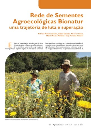 Rede de Sementes 
Agroecológicas Bionatur 
uma trajetória de luta e superação 
Patrícia Martins da Silva, Aldair Gaiardo, Alcemar Inhaia, 
Márcio Garcia Morales e Irajá Ferreira Antunes 
Foto: arquivo Bionatur, 2012 E vidências arqueológicas apontam que, há apro-ximadamente 
33 Agriculturas • v. 11 - n. 1 • abril de 2014 
Foto: Equipe técnica Bionatur, 2013 
dez mil anos, as mulheres desven-daram 
o mistério que circunda a reprodução da 
maior parte das espécies vegetais na natureza: as sementes. 
Elpídeo e Feliciana, produção de semente de flores, Piratini, RS. 
Essa descoberta contribuiu para o abandono da condição nô-made 
dos povos e possibilitou o desenvolvimento de diversas 
agriculturas em diferentes ecossistemas existentes, cumprin-do 
um papel determinante no processo de sociabilidade da 
 