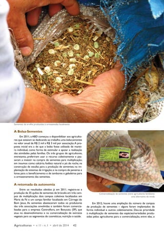 A Bolsa-Sementes 
Em 2011, a ABD começou a disponibilizar aos agriculto-res 
que estavam se dedicando ao trabalho uma bolsa-sementes 
no valor anual de R$ 2 mil a R$ 3 mil por associação. A pro-posta 
inicial era a de que a bolsa fosse utilizada de manei-ra 
individual, como forma de estimular e apoiar a realização 
das atividades pelas famílias. Os três grupos de agricultores, 
entretanto, preferiram usar o recurso coletivamente e pas-saram 
a investir na compra de sementes para multiplicação; 
em insumos como calcário, fosfato natural e pó de rocha; na 
construção de estufas para a produção de sementes; na im-plantação 
de sistemas de irrigação; e na compra de peneiras e 
lonas para o beneficiamento e de tambores e geladeiras para 
o armazenamento das sementes. 
A retomada da autonomia 
Entre os resultados obtidos já em 2011, registra-se a 
produção de 35 quilos de sementes de brócolis em três cam-pos 
de multiplicação: dois campos coletivos localizados em 
Maria da Fé e um campo familiar localizado em Córrego do 
Bom Jesus. As sementes abasteceram todos os produtores 
das três associações envolvidas e também foram comercia-lizadas 
para a empresa Centroflora, em Botucatu (SP), que 
atua no desenvolvimento e na comercialização de extratos 
vegetais para os segmentos de cosméticos, nutrição e saúde. 
Agriculturas • v. 11 - n. 1 • abril de 2014 42 
Em 2012, houve uma ampliação do número de campos 
de produção de sementes – alguns foram implantados de 
forma individual e outros coletivamente. Deu-se prioridade 
à multiplicação de sementes das espécies/variedades produ-zidas 
pelos agricultores para a comercialização, entre elas, o 
Sementes de ervilha produzidas e armazenadas localmente 
Comercialização de sementes entre agricultores familiares: 
uma alternativa de renda 
 
