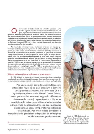 O incremento da biodiversidade nas unidades agrícolas é uma 
questão urgente em uma era de mudanças climáticas, mas, em 
geral, agricultores familiares têm acesso limitado aos recursos 
genéticos. Eles não apenas precisam de maior acesso aos materiais que estão 
em centros de pesquisa e bancos de germoplasma, como também demandam a 
colaboração de cientistas que estejam interessados e sejam capazes de trabalhar 
em conjunto para construir novos conhecimentos. O programa de Melhoramen-to 
Genético Evolutivo (MGE)1 no Irã é um exemplo do que pode ser alcançado 
quando esses desafios são superados. 
Na maioria dos países do mundo, é muito raro ter acesso aos recursos ge-néticos 
e estabelecer processos genuínos de colaboração com cientistas. No Irã, 
porém, o Centro para o Desenvolvimento Sustentável (Cenesta) desenvolveu o 
modelo MGE, que conferiu a um número significativo de agricultores o acesso a 
uma grande quantidade de recursos genéticos em um espaço de tempo relativa-mente 
curto. Por ser uma estratégia dinâmica e de baixo custo, o MGE contribui 
para uma rápida adaptação das lavouras dos agricultores às mudanças climáticas. 
Ele foi constituído a partir de uma experiência de Melhoramento Genético Parti-cipativo 
(MGP), em que agricultores plantam uma certa quantidade de variedades 
da mesma cultura e, após vários anos de seleção, escolhem um pequeno número 
de variedades para multiplicação e uso. No MGE, os agricultores começam plan-tando 
uma mistura muito maior, de centenas ou milhares de variedades diferentes, 
e não necessariamente têm o objetivo de criar variedades específicas. 
Nossas ideias evoluem, assim como as sementes 
O MGE se baseia no plantio de um coquetel com o maior número possível de 
variedades de uma determinada espécie para que elas cruzem livremente entre si. Ge-neticamente, 
a semente que é colhida nunca é exatamente a mesma que foi plantada. 
Por vários anos seguidos, agricultores de 
diferentes regiões no país plantam e colhem 
uma pequena amostra de sementes (4 a 5 
quilos) em parcelas de 250m2. Dessa forma, 
essas populações evoluem segundo diferentes 
sistemas de manejo agronômico e distintas 
condições de estresse ambiental relacionadas 
a incidência de doenças, insetos-praga, plantas 
espontâneas, seca, temperaturas extremas 
e salinidade. Por meio desse processo, a 
frequência de genótipos adaptados às condições 
locais aumenta gradualmente. 
1 Para saber mais sobre o MGE no Irã, visite www.cenesta.org. 
Agriculturas • v. 11 - n. 1 • abril de 2014 46 
A ideia do MGE não é nova. Já em 
1929 foram desenvolvidos métodos 
para a geração de populações hete-rogêneas 
de cevada em regiões onde 
eram necessárias variedades localmen- 
 