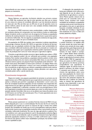 desenvolvendo em seus campos, a necessidade de comprar sementes acaba sendo 
pequena ou inexistente. 
Sementes melhores 
Nemat Salemian, um agricultor de Anjirak, relembra seu primeiro contato 
com o MGE. Nós recebemos esse trigo de outro agricultor, que disse que se tratava 
de uma mistura de centenas de variedades diferentes e que nós deveríamos plantá-lo 
em nosso pior solo. Meu pai disse que, nos 80 anos em que foi agricultor, nunca viu 
plantas melhores, apesar do solo muito ruim e das condições climáticas desfavoráveis 
que tivemos nesse ano. 
As misturas do MGE mostraram maior produtividade e melhor desempenho 
em condições adversas em comparação com suas similares crioulas ou melhoradas. 
Apesar do plantio tardio no primeiro ano do programa do Cenesta, as populações 
evolutivas de cevada produziram mais que as variedades locais e quase tanto quanto 
as cultivares melhoradas. No ano seguinte, as populações evolutivas de trigo produ-ziram 
mais que o dobro do que as variedades locais. 
As populações do MGE são também mais resistentes às plantas espontâneas, 
insetos-praga e doenças. Na safra 2011/2012, um agricultor do distrito de Garmsar 
observou que sua população evolutiva de trigo alcançou maior produtividade do 
que a variedade melhorada localmente, além de não ter precisado ser tratada com 
agrotóxicos. Isso sugere que as populações evolutivas podem representar menores 
custos de produção, bem como ser muito úteis para a agricultura orgânica. 
Contudo, os agricultores podem encontrar alguns desafios para adotar o MGE. 
Áreas muito pequenas podem não ser suficientes para produzir uma população 
evolutiva. Para resolver esse problema, a população evolutiva poderia circular entre 
agricultores familiares de uma mesma comunidade. Além disso, no caso de eventos 
climáticos severos, apenas uma pequena fração da população pode sobreviver – dei-xando 
muito pouca diversidade na mistura para continuar a se adaptar. Nesse caso, 
pode ser necessário suplementar a mistura com novas variedades. Entretanto, em 
tais circunstâncias, os agricultores que cultivam a população evolutiva terão maiores 
chances de obter alguma colheita, enquanto campos plantados com apenas uma 
variedade podem sofrer a perda total da safra. 
Crescimento inesperado 
Depois de receber uma pequena quantidade de sementes no primeiro ano de 
experimentos com o MGE, esperávamos que os agricultores continuariam a semear 
apenas o suficiente para permitir à população se desenvolver e servir como uma 
fonte de variedades localmente adaptadas. Um dos resultados mais inesperados dos 
experimentos foi que alguns agricultores decidiram plantar todas as sementes que 
colheram, multiplicando e cultivando a semente como sua principal lavoura. Cerca 
de 20 agricultores me pediram essa semente depois que a viram na minha lavoura no ano 
passado, relembra Faraj Safari. Este ano eu só vou plantar essa mistura. Vou plantar cerca 
de 40 hectares com ela. Posso dar sementes para 10 ou 15 outros agricultores este ano e 
para mais gente no ano que vem. 
A questão do consumidor 
Muitas pessoas questionam se o produto final das misturas do MGE é de qua-lidade 
adequada para o uso e a comercialização. No Irã, esse não foi um motivo de 
preocupação para aqueles que usaram as misturas de trigo e cevada. Uma análise 
proteica das variedades de cevada, que no Irã é principalmente usada para alimen-tação 
animal, mostrou que as populações evolutivas tinham mais proteína do que as 
variedades melhoradas localmente. No caso do trigo, agricultores e padeiros fica-ram 
satisfeitos com o pão que produziram a partir das populações evolutivas. Alguns 
estão até mesmo comercializando o pão em padarias artesanais locais. Agricultores 
plantando populações evolutivas na França e na Itália confirmaram que a criação 
de misturas não apenas confere maior estabilidade à produção, mas também maior 
aroma e qualidade ao pão. 
A adequação das populações evo-lutivas 
para utilização como cultura prin-cipal 
depende do uso da cultura e das 
preferências de agricultores e consumi-dores. 
Mesmo quando a lavoura não se 
presta para ser consumida como uma 
mistura (como acontece com muitas 
variedades de hortaliças), as populações 
evolutivas ainda servem como bancos de 
germoplasma vivos para os agricultores 
buscarem variedades individuais. O uso 
do MGE com hortaliças e leguminosas 
está atualmente em curso na Itália com 
tomate, abobrinha e feijões. 
Para onde vamos agora? 
As populações evolutivas de trigo 
e cevada continuam a se espalhar pelo 
Irã, tanto através das trocas entre agri-cultores 
como através de trocas organi-zadas 
pelo Darsi, pelo Departamento de 
Agricultura da Província de Fars e pelo 
Cenesta. O maior desafio é acompa-nhar 
a rápida difusão dessas sementes, 
de modo a monitorar os resultados e 
apoiar os agricultores. A primeira oficina 
nacional sobre MGE foi organizada em 
Shiraz, em janeiro de 2013, ocasião em 
que agricultores de diversas províncias 
compartilharam suas experiências. A 
realização regular de oficinas locais, re-gionais 
e nacionais e de visitas a campo 
é necessária para fortalecer o conhe-cimento 
dos agricultores sobre como 
usar essas populações. Ao mesmo tem-po, 
buscamos aumentar a conscientiza-ção 
acerca dos potenciais impactos de 
diferentes leis e políticas de sementes 
sobre os direitos dos agricultores de 
guardar, trocar, desenvolver e usar suas 
sementes de forma sustentável. 
Maryam Rahmanian 
Pesquisadora associada do Cenesta 
maryam@cenesta.org 
Maede Salimi 
Pesquisadora associada do Cenesta 
maedeh@cenesta.org 
Khadija Razavi 
Diretor-executivo do Cenesta 
(khadija@cenesta.org) 
Dr. Reza Haghparast 
Chefe do Departamento de Cereais de 
Sequeiro do Darsi em Kermanshah, Irã 
rh7691@yahoo.com 
Dr. Salvatore Ceccarelli 
Consultor do Icarda 
s.ceccarelli@cgiar.org 
49 Agriculturas • v. 11 - n. 1 • abril de 2014 
 