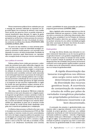 5 Agriculturas • v. 11 - n. 1 • abril de 2014 
Muitos investimentos públicos foram realizados para que 
o emprego das sementes melhoradas se impusesse em lar-ga 
escala. Apesar de as iniciativas de estímulo a esse modelo 
terem partido dos governos, foram as grandes empresas as 
maiores beneficiárias dessa alteração no regime de gestão 
da biodiversidade na agricultura. Esse fenômeno é facilmente 
perceptível ao verificarmos o intenso processo de concentra-ção 
e internacionalização do setor de produção de semen-tes 
comerciais nas últimas duas décadas (WILKINSON, 2000; 
LONDRES; ALMEIDA, 2009). 
Do ponto de vista simbólico, as novas sementes passa-ram 
a ser associadas à noção de modernidade tecnológica, en-quanto 
as sementes crioulas passaram a ser encaradas como 
expressão do atraso e da baixa produtividade. Faculdades de 
Agronomia exerceram papel determinante em reproduzir 
essa concepção, levada ao campo por técnicos extensionistas. 
Leis e políticas de sementes 
Políticas públicas foram criadas para promover a substi-tuição 
das sementes locais pelas melhoradas, chegando mes-mo 
a interditar o uso das sementes crioulas – como foi o caso 
dos programas de crédito rural que exigiam a comprovação 
da utilização de sementes comerciais. Algumas políticas go-vernamentais 
assim concebidas continuam sendo executadas 
e exercendo papel importante nos processos de erosão gené-tica 
na agricultura. Como exemplo, podemos citar os progra-mas 
que promovem a distribuição de uma ou poucas varieda-des 
comerciais entre famílias agricultoras da região semiárida 
e os programas do tipo troca-troca implementados na região 
Sul, através dos quais agricultores recebem sementes de va-riedades 
comerciais (inclusive transgênicas) para pagamento 
posterior com o produto da colheita. 
Além disso, a partir da década de 1960, foram criadas leis 
de sementes na maior parte dos países com o alegado propósi-to 
de garantir aos agricultores o acesso a sementes e mudas de 
boa qualidade. No entanto, os reais beneficiários desses novos 
marcos legais foram as empresas sementeiras. Na letra dessas 
leis, o conceito de sementes restringiu-se aos materiais desen-volvidos 
por especialistas, ao passo que as sementes crioulas 
foram excluídas do mundo formal, sendo classificadas como 
grãos, isto é, material sem qualidade para a multiplicação. 
A influência desse processo no Brasil se fez notar a par-tir 
da edição da primeira Lei de Sementes (Lei 4.727), de 1965, 
que impedia os materiais crioulos de serem comercializados, 
bem como de integrar programas públicos de aquisição, troca 
ou distribuição de sementes. Esse impedimento só foi revoga-do 
em 2003, com a edição da Lei 10.711, a terceira a regula-mentar 
o tema no País. Por meio dela, as variedades crioulas 
passaram a ser oficialmente reconhecidas como sementes, 
criando a possibilidade de serem promovidas por políticas e 
programas governamentais (LONDRES, 2006). 
Após a legislação sobre sementes, seguiram-se as leis de 
propriedade intelectual, que passaram a conferir direitos de 
uso sobre as sementes aos melhoristas (denominados obten-tores 
das novas variedades). A Lei de Proteção de Cultivares 
(9.456/1997) brasileira determina que qualquer interessado 
em produzir sementes de uma cultivar (variedade) protegida 
deve obter autorização do detentor dos direitos de proprie-dade 
intelectual – e pagar-lhe royalties por isso. 
Erosão genética 
Ao longo das últimas décadas, essas alterações no con-texto 
institucional relacionado ao uso de recursos genéticos 
na agricultura levaram a uma gradativa marginalização das se-mentes 
crioulas que resultou na extinção de muitas varieda-des 
e na extrema redução da população de outras. Além da 
desaparição física das variedades, esse processo, tecnicamente 
conhecido como erosão genética, significa também a perda de 
um valioso acervo de conhecimentos culturais associados ao 
uso e ao manejo da agrobiodiversidade. 
A rápida disseminação das 
lavouras transgênicas nos últimos 
anos surgiu como outro fator 
determinante para a perda 
da diversidade dos recursos 
genéticos locais. A ocorrência 
de contaminação de materiais 
crioulos de milho por pólen de 
variedades transgênicas plantadas 
em propriedades próximas é um 
fenômeno recorrente e já 
bem documentado. 
A acentuação dos prejuízos à agrobiodiversidade, seus 
impactos sobre a segurança alimentar e seus riscos à con-tinuidade 
da própria agricultura conformam uma realidade 
amplamente reconhecida em nível internacional. Importantes 
instituições acadêmicas e políticas – incluindo a Organização 
das Nações Unidas para a Alimentação e a Agricultura (FAO, 
na sigla em inglês) – já reconheceram a necessidade da imple-mentação 
de políticas e programas que visem à conservação 
dos recursos da agrobiodiversidade. O tema também cons- 
 