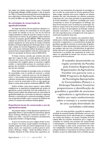 titui objeto de tratados internacionais, como a Convenção 
da Diversidade Biológica (CDB), assinada no Rio de Janeiro, 
em 1992, e o Tratado Internacional de Recursos Fitogenéticos 
para a Agricultura e Alimentação (Tirfaa), assinado pelo Brasil 
em junho de 2002 e em vigor desde junho de 2004. 
As estratégias de conservação da 
agrobiodiversidade 
Ao longo dos últimos 30 anos, ganharam destaque e in-vestimentos 
os esforços de conservação de recursos gené-ticos 
através de métodos ex situ (i.e., fora do seu local de 
origem), baseados na coleta de materiais a campo e no seu ar-mazenamento 
em bancos de germoplasma, jardins botânicos 
e centros de pesquisa agrícola (BRUSH, 1999). Importantes 
coleções de sementes das mais variadas espécies cultivadas 
existem atualmente em várias partes do mundo. A Empresa 
Brasileira de Pesquisa Agropecuária (Embrapa) detém a sexta 
maior coleção de recursos fitogenéticos do planeta e, além 
dela, muitas outras instituições públicas de pesquisa no Brasil 
possuem bancos de germoplasma onde são conservados ma-teriais 
de reprodução de diversas culturas (DIAS, 2012). 
O tempo mostrou, contudo, que somente essa estra-tégia 
não é capaz de deter a erosão genética. Uma das ra-zões 
para isso é que as câmaras frias onde os materiais são 
armazenados não congelam apenas as sementes: congelam 
também o imprescindível processo de coevolução entre a 
genética das variedades e as condições socioambientais em 
que elas são cultivadas. 
Diante dessa limitação da estratégia ex-situ, as iniciativas 
de comunidades rurais no sentido de conservar e manejar 
variedades locais – muitas das quais em vias de desapareci-mento 
– e seus conhecimentos associados passaram a ser ofi-cialmente 
reconhecidas e valorizadas. A esse tipo de trabalho 
deu-se o nome de conservação on farm, ou seja, aquela rea-lizada 
no campo pelos próprios camponeses (BRUSH, 1999). 
Embora recebam muito pouco suporte e apoio público, 
multiplicam-se as experiências protagonizadas por grupos de 
agricultores e povos tradicionais. Com elas, evidencia-se a re-levância 
social e política das práticas locais de conservação da 
agrobiodiversidade para a promoção da soberania e segurança 
alimentar e nutricional, para a autonomia tecnológica e econô-mica 
da agricultura familiar e para o aumento da resiliência dos 
cultivos no contexto das mudanças climáticas globais. 
Experiências locais de conservação e uso da 
agrobiodiversidade 
Na presente edição, a revista Agriculturas: experiências em 
agroecologia oferece a oportunidade de (re)conhecer algumas 
dessas iniciativas, relevantes por mostrarem caminhos – tri-lhados 
e por trilhar – que têm no horizonte o fortalecimento 
da agricultura familiar e da Agroecologia. 
A partir de iniciativa do povo indígena Krahô de bus-car 
recuperar nos bancos de germoplasma da Embrapa va-riedades 
antigas de milho que haviam desaparecido de suas 
aldeias, nasceu uma importante e profícua parceria envol-vendo 
a Embrapa, a Kapéy – União das Aldeias Krahô e a 
Fundação Nacional do Índio (Funai). Essa experiência ex-pressa 
Agriculturas • v. 11 - n. 1 • abril de 2014 6 
um caso interessante de integração de estratégias ex 
situ e on farm de conservação de recursos genéticos. Varie-dades 
antigas coletadas entre povos indígenas em décadas 
passadas têm sido reintroduzidas nos sistemas produtivos 
tradicionais. Por outro lado, guardiões da agrobiodiversida-de 
Krahô identificam e selecionam variedades para serem 
armazenadas no banco de germoplasma da Embrapa, que 
dessa forma funciona como um backup da conservação rea-lizada 
em campo. Trata-se da primeira iniciativa no Brasil de 
abertura do banco de germoplasma da Embrapa mediante 
demanda comunitária, e os resultados dessa experiência 
têm sido inspiradores para a emergência de novas ações e a 
construção de políticas nessa área. 
Na Serra Central do Equador, uma experiência desen-volvida 
junto a famílias camponesas e indígenas tem também 
promovido o mapeamento e o reconhecimento do papel dos 
guardiões e guardiãs de sementes na conservação da agrobio-diversidade. 
O relato apresentado busca, sobretudo, mostrar 
que qualquer ação que vise o fortalecimento da agricultura 
familiar deve partir das experiências locais, valorizando os co-nhecimentos 
e as escolhas dos camponeses de modo a for-talecer 
sua capacidade de manejar seus recursos e sistemas 
produtivos de forma autônoma. 
O trabalho desenvolvido na 
região semiárida da Paraíba 
pelo Coletivo Regional das 
Organizações da Agricultura 
Familiar em parceria com a 
ONG Programa de Aplicação 
de Tecnologias Apropriadas 
às Comunidades (Patac) e a 
Embrapa Tabuleiros Costeiros 
proporcionou a identificação de 
guardiões e guardiãs de sementes 
– agricultores e agricultoras que 
detêm um vasto conhecimento 
sobre o manejo e a conservação 
de uma ampla diversidade de 
variedades cultivadas. 
Junto com esses guardiões e guardiãs, foi mapeada a di-versidade 
de sementes. Aquelas identificadas como em risco 
de desaparecimento foram selecionadas para a multiplicação 
nos roçados das famílias e em campos manejados de forma 
coletiva. Além de contribuir diretamente para o resgate de 
variedades em extinção, esse processo tem proporcionado 
a sistematização e a disseminação de conhecimentos sobre 
o ciclo fenológico e sobre outras características dos mate-riais 
multiplicados. Contribui também para a reposição dos 
estoques familiares e comunitários de sementes, assim como 
fortalece os laços de solidariedade entre as famílias que par- 
 