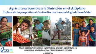 Agricultura Sensible a la Nutrición en el Altiplano
Explorando las perspectivas de las familias con la metodología de SenseMaker
TALLER SOBRE INTERVENCIONES EN NUTRICIÓN, GÉNERO Y AGRICULTURA EN
GUATEMALA: SITUACIÓN ACTUAL Y OPORTUNIDADES FUTURAS
Guatemala
25 de octubre, 2018
 