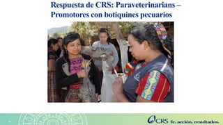 Agricultura sensible a la nutrición en el Altiplano. Explorando las perspectivas de las familias con la metodología SenseMaker