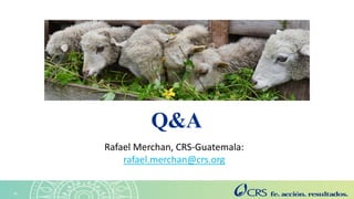 Agricultura sensible a la nutrición en el Altiplano. Explorando las perspectivas de las familias con la metodología SenseMaker