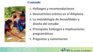 Agricultura sensible a la nutrición en el Altiplano. Explorando las perspectivas de las familias con la metodología SenseMaker