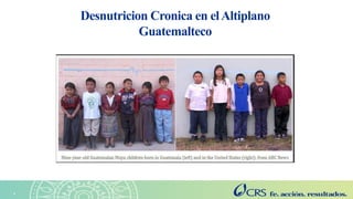 Agricultura sensible a la nutrición en el Altiplano. Explorando las perspectivas de las familias con la metodología SenseMaker