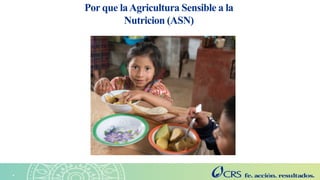 Agricultura sensible a la nutrición en el Altiplano. Explorando las perspectivas de las familias con la metodología SenseMaker