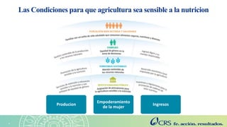 Agricultura sensible a la nutrición en el Altiplano. Explorando las perspectivas de las familias con la metodología SenseMaker