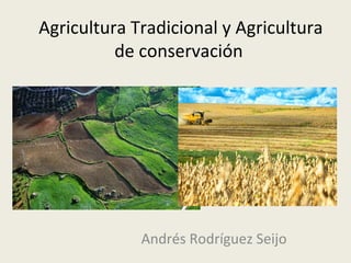 Agricultura Tradicional y Agricultura
de conservación
Andrés Rodríguez Seijo
 