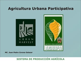 Agricultura Urbana Participativa SISTEMA DE PRODUCCIÓN AGRÍCOLA MC. Juan Pedro Corona Salazar 