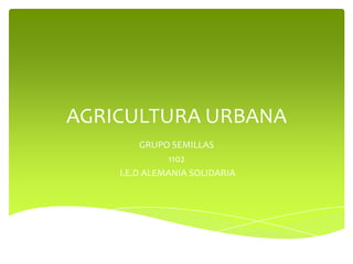 AGRICULTURA URBANA
         GRUPO SEMILLAS
              1102
    I.E.D ALEMANIA SOLIDARIA
 