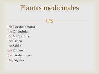 Plantas medicinales
                    
 Flor de Jamaica
 Caléndula
 Manzanilla
 Ortiga
 Sábila
 Romero
 Hierbabu...