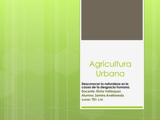 Agricultura
Urbana
Desconocer la naturaleza es la
causa de la desgracia humana.
Docente: Elvira Velázquez
Alumno: Samira Avellaneda
curso: 701 J.m
 