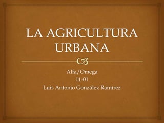 Alfa/Omega
             11-01
Luis Antonio González Ramírez
 