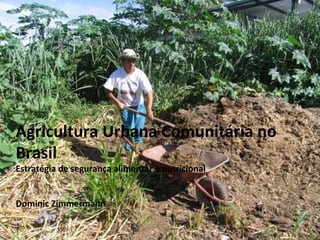 Agricultura Urbana Comunitária no
Brasil
Estratégia de segurança alimentar e nutricional
Dominic Zimmermann

 