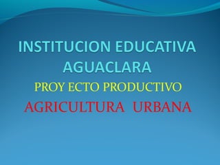 PROY ECTO PRODUCTIVO
AGRICULTURA URBANA
 