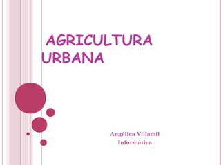 AGRICULTURA
URBANA



      Angélica Villamil
        Informática
 
