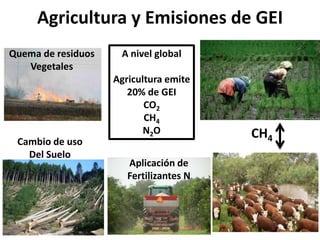 Agricultura y Emisiones de GEI
Quema de residuos    A nivel global
   Vegetales
                    Agricultura emite
                       20% de GEI
                           CO2
                           CH4
                           N2O           CH4
 Cambio de uso
   Del Suelo
                       Aplicación de
                       Fertilizantes N
 