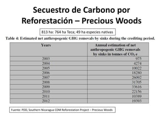 Secuestro de Carbono por
       Reforestación – Precious Woods
                      813 ha: 764 ha Teca; 49 ha especies nativas




Fuente: PDD, Southern Nicaragua CDM Reforestation Project – Precious Woods
 