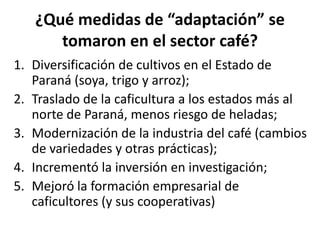 ¿Qué medidas de “adaptación” se
      tomaron en el sector café?
1. Diversificación de cultivos en el Estado de
   Paraná (soya, trigo y arroz);
2. Traslado de la caficultura a los estados más al
   norte de Paraná, menos riesgo de heladas;
3. Modernización de la industria del café (cambios
   de variedades y otras prácticas);
4. Incrementó la inversión en investigación;
5. Mejoró la formación empresarial de
   caficultores (y sus cooperativas)
 