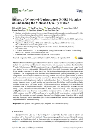 agriculture
Article
Eﬃcacy of N-methyl-N-nitrosourea (MNU) Mutation
on Enhancing the Yield and Quality of Rice
Kifayatullah Kakar 1,2 , Tran Dang Xuan 1,* , Nguyen Van Quan 1 , Imran Khan Wafa 3,
Hoang-Dung Tran 4 , Tran Dang Khanh 5 and Tran Dang Dat 6
1 Graduate School for International Development and Cooperation, Hiroshima University, Hiroshima 739-8529,
Japan; kifayatullahkakar@gmail.com (K.K.); nguyenquan26@gmail.com (N.V.Q.)
2 Faculty of Agriculture, Nangarhar University, Nangarhar 2601, Afghanistan
3 Badam Bagh Research Station, Ministry of Agriculture, Irrigation, and Livestock, Kabul 1001, Afghanistan;
imrankhan_wafa@yahoo.com
4 Department of Biotechnology, NTT Institute of Hi-Technology, Nguyen Tat Thanh University,
Ho Chi Minh 72820, Vietnam; thdung@ntt.edu.vn
5 Department of Genetic Engineering, Agricultural Genetics Institute, Hanoi 122300, Vietnam;
tdkhanh@vaas.vn
6 Khai Xuan International Co. Ltd., Ha Dong District, Duong Noi Ward, LK20A-20B, Khai Xuan Building,
Hanoi 152611, Vietnam; khaixuan.study@gmail.com
* Correspondence: tdxuan@hiroshima-u.ac.jp; Tel./Fax: +81-82-424-6927
Received: 2 September 2019; Accepted: 25 September 2019; Published: 27 September 2019
Abstract: Mutation technology has been applied more in recent decades to achieve novel products
that are not commonly found in nature. An experiment was conducted to examine the eﬀects of an
N-methyl-N-nitrosourea (MNU) mutation on the growth, yield, and physicochemical properties of
rice. Seeds of two rice cultivars (K1: DT84, and K3: Q5), along with their mutant lines (K2: mutated
DT84, and K4: mutated Q5), were sown, and the established seedlings were transplanted to an
open ﬁeld. Ten hills per plot were randomly selected to evaluate growth parameters, yield, and
components. Physicochemical attributes, including protein, amylose, and lipid contents, as well as
taste score were measured by a quality tester device. The results showed that plant length, tiller
number, and panicle length were higher in mutant lines than those of their cultivars. Furthermore,
mutant lines took longer to reach heading and maturity stage. The highest panicle number, spikelet
number, repined ratio, 1000 grain weight, 1000 brown rice weight, and grain yield were obtained
in mutant lines, as compared to cultivars. The greatest grain yield was obtained in the K4 mutant
line (11.6 t/ha), while the lowest was recorded in the K1 cultivar (7.7 t/ha). Lower amylose, protein,
and lipid contents were observed in mutant lines compared to those in cultivars. The taste score,
which increased from 67.7 to 73.7, was found to be correlated with lower amylose, protein, and lipid
contents. The mutation approach increased the grain length but decreased the grain width of tested
varieties. This study highlights and suggests the importance of MNU mutation in terms of rice yield
improvement with preferable quality.
Keywords: rice; growth; yield; protein; lipid; amylose; MNU mutation; quality
1. Introduction
Rice (Oryza sativa L.) is one of the leading crops and provides the main source of calories for
more than half of the world’s population [1–3]. An increasing population has raised demands for rice
production worldwide, especially in Asian countries where rice is consumed as part of the typical
diet [4,5]. To meet increasing demand, various methods and techniques of genetic manipulation have
Agriculture 2019, 9, 212; doi:10.3390/agriculture9100212 www.mdpi.com/journal/agriculture
 