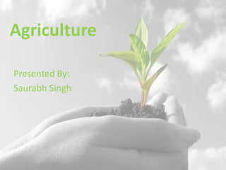 Agriculture,[object Object],Presented By:,[object Object],SaurabhSingh,[object Object]