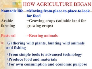 HOW AGRICULTURE BEGAN ,[object Object],[object Object],[object Object],[object Object],=Moving from place to place to look for food =Growing crops (suitable land for growing crops) =Rearing animals Nomadic life  Arable farming  Pastoral 