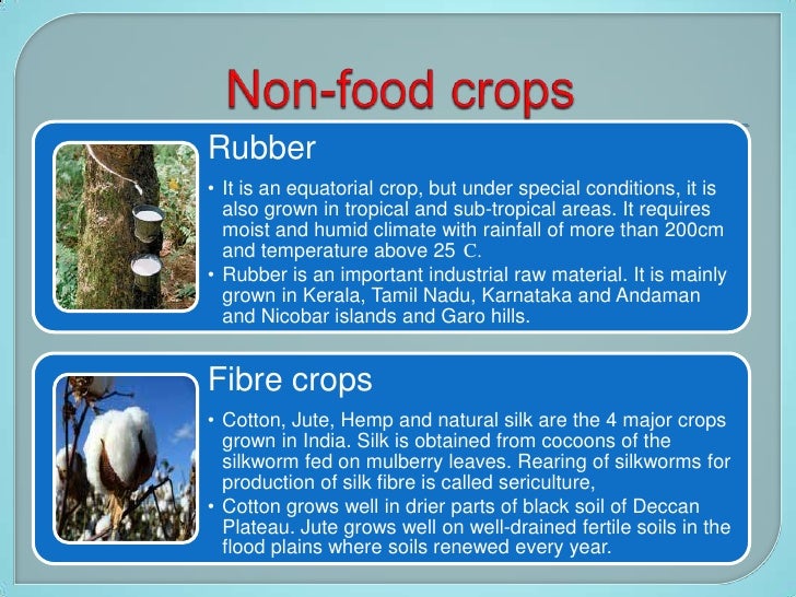 Agriculture