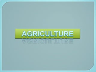 AGRICULTURE 