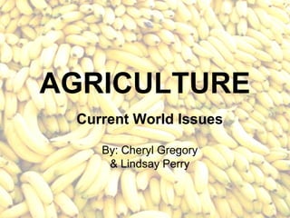 AGRICULTURE
 Current World Issues

    By: Cheryl Gregory
     & Lindsay Perry
 