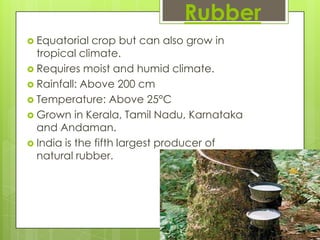 Rubber
 Equatorial  crop but can also grow in
  tropical climate.
 Requires moist and humid climate.
 Rainfall: Above 200 cm
 Temperature: Above 25°C
 Grown in Kerala, Tamil Nadu, Karnataka
  and Andaman.
 India is the fifth largest producer of
  natural rubber.
 