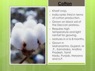 Cotton
   Kharif crop.
   India ranks third in terms
    of cotton production.
   Grown on black soil of
    the Deccan plateau.
   Requires high
    temperature and light
    rainfall for growing.
   Matures in 6 to 8 months.
   Grown in
    Maharashtra, Gujarat, M
    .P., Karnataka, Andhra
    Pradesh, Tamil
    Nadu, Punjab, Haryana
    and U.P.
 