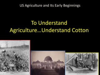 To Understand
Agriculture…Understand Cotton
US Agriculture and Its Early Beginnings
 