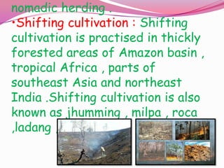 nomadic herding .
•Shifting cultivation : Shifting
cultivation is practised in thickly
forested areas of Amazon basin ,
tropical Africa , parts of
southeast Asia and northeast
India .Shifting cultivation is also
known as jhumming , milpa , roca
,ladang ,etc .

 