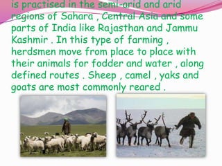is practised in the semi-arid and arid
regions of Sahara , Central Asia and some
parts of India like Rajasthan and Jammu
Kashmir . In this type of farming ,
herdsmen move from place to place with
their animals for fodder and water , along
defined routes . Sheep , camel , yaks and
goats are most commonly reared .

 