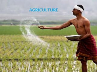 AGRICULTURE 
 