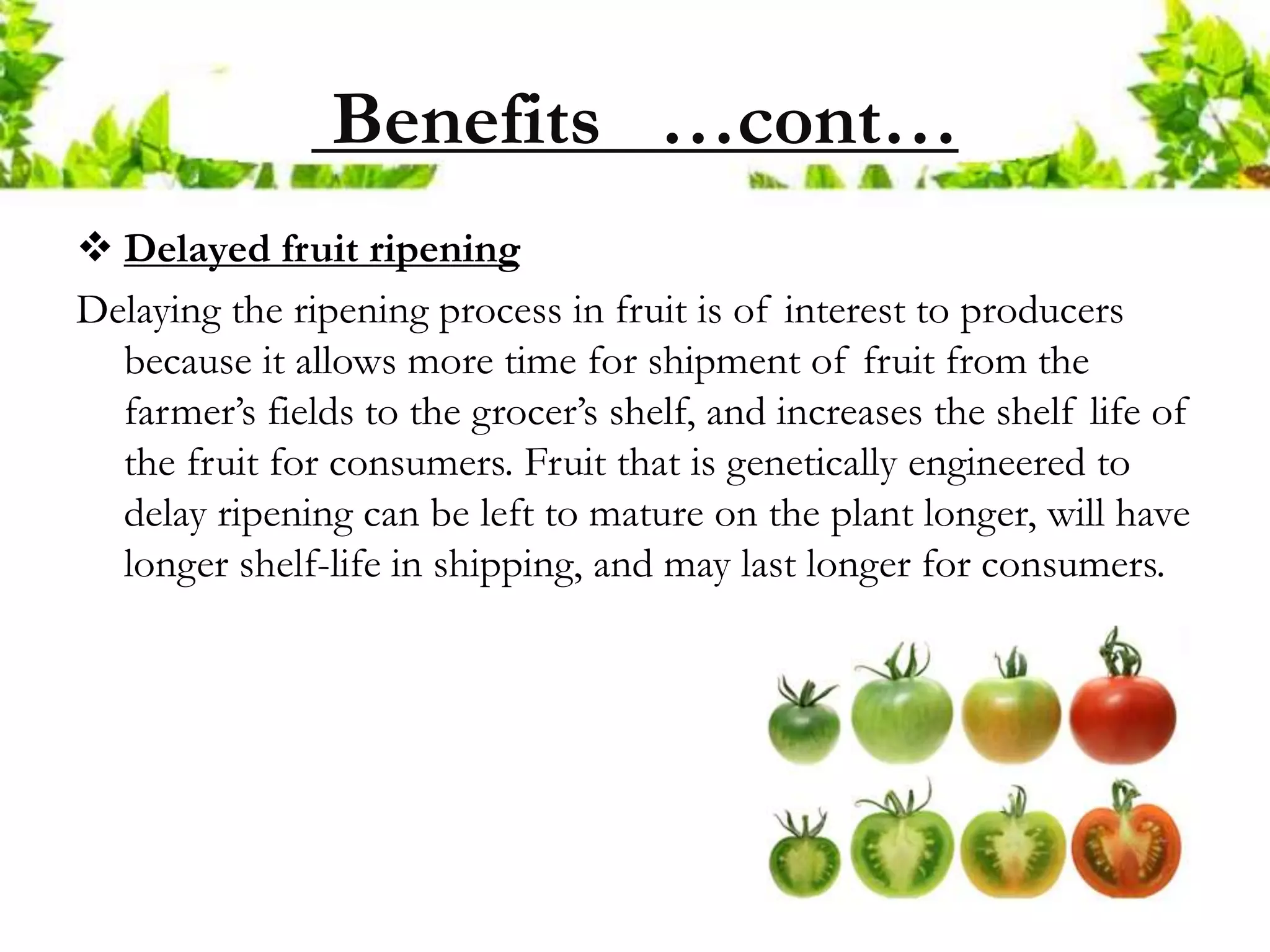biotechnology in Agriculture | PPTX